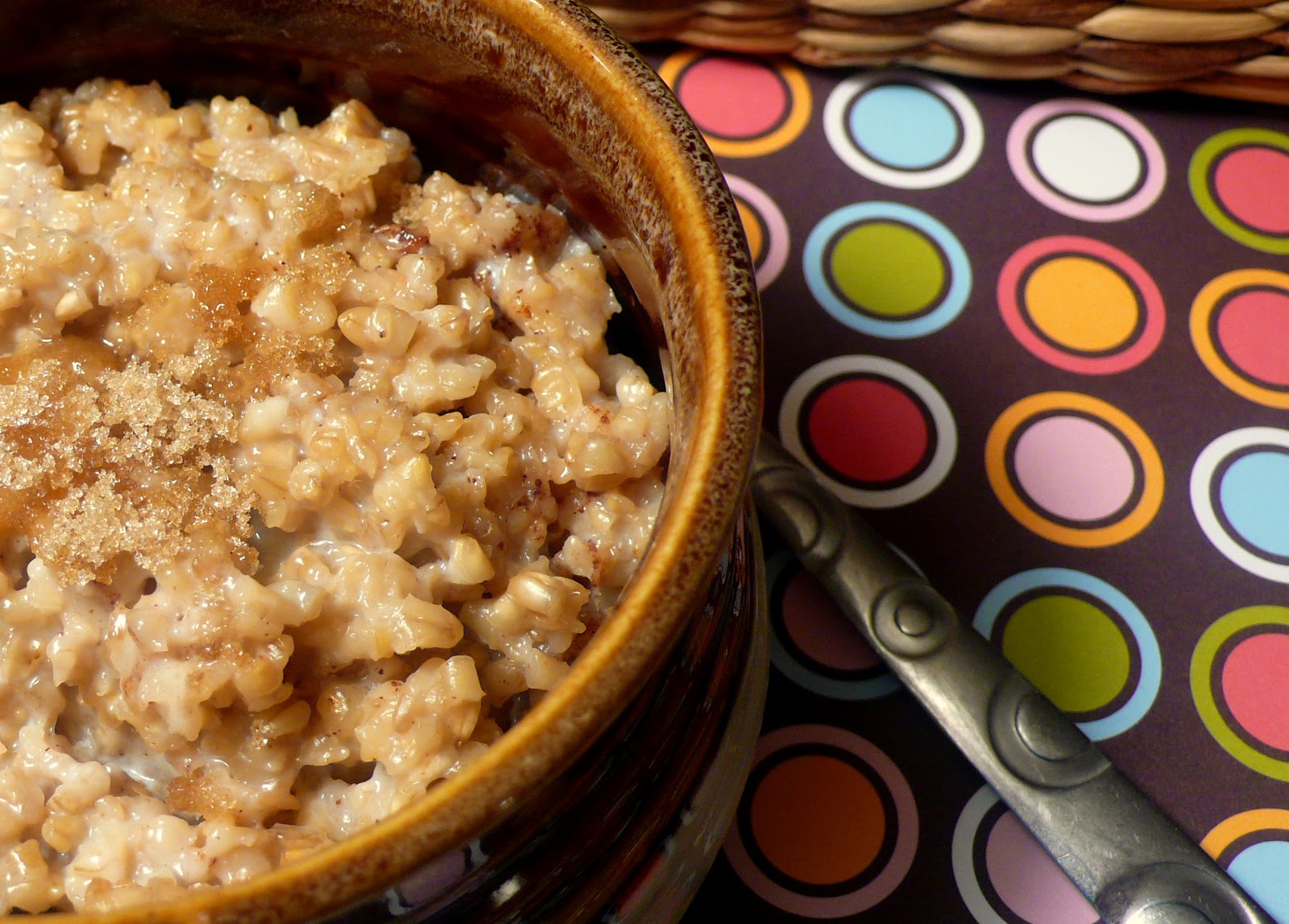 Joyously Domestic Overnight Steel Cut Oats Slow Cooker