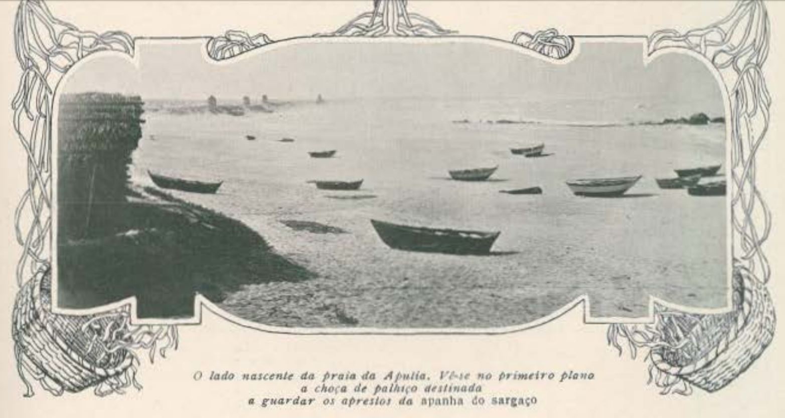 Cedovém 1908