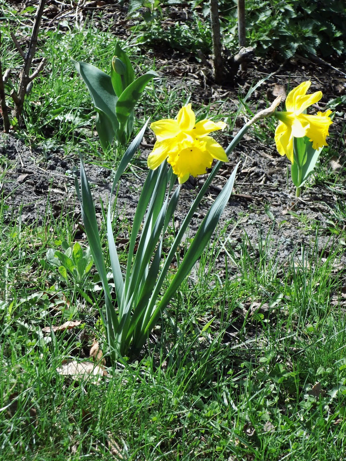 Martin In Broda April 2013