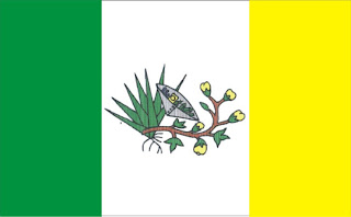 Bandeira de Picuí-PB