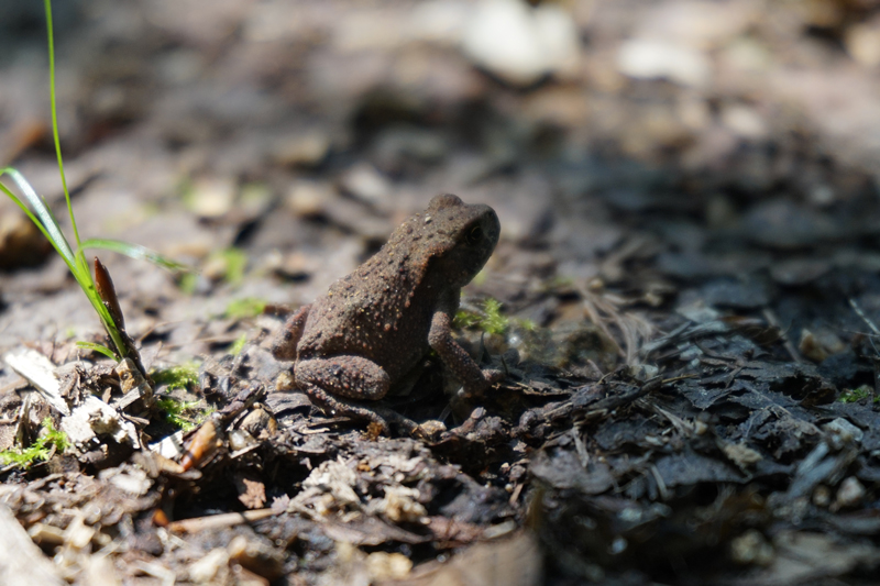 Chamy At Be Happy Be Charming Juli 2011