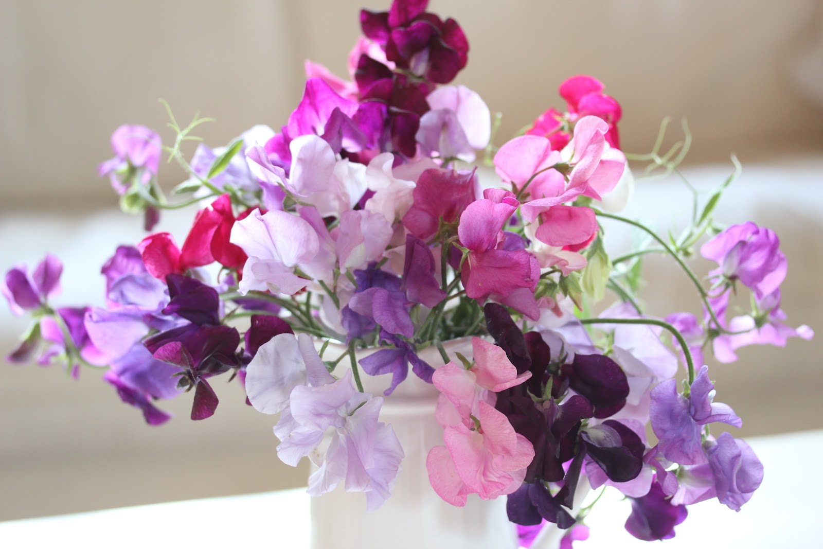 end of summer flowers Wild Acre