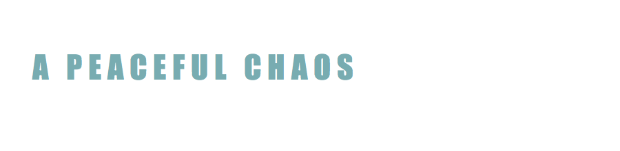 a peaceful chaos