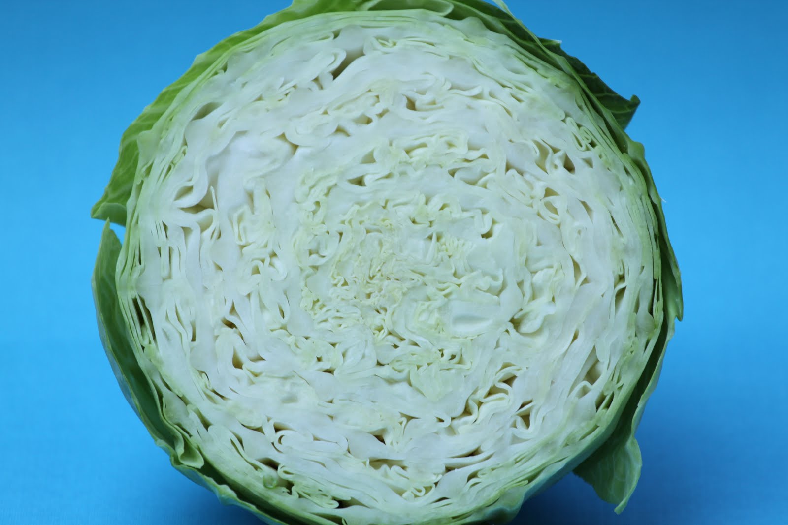 Pots and Frills Basic White Cabbage SaladPolish Cuisine Classic