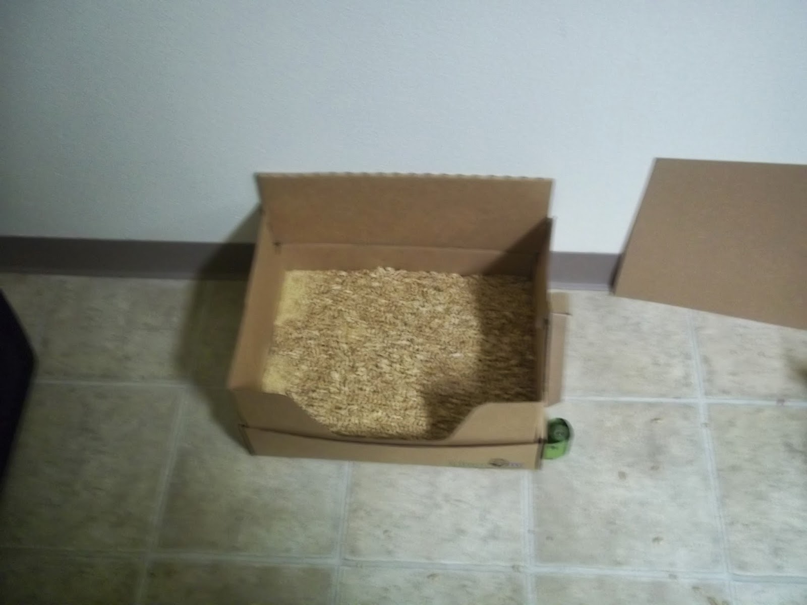 Reviews, Chews & HowTos Review Litter One Subscription Litter Box Kit