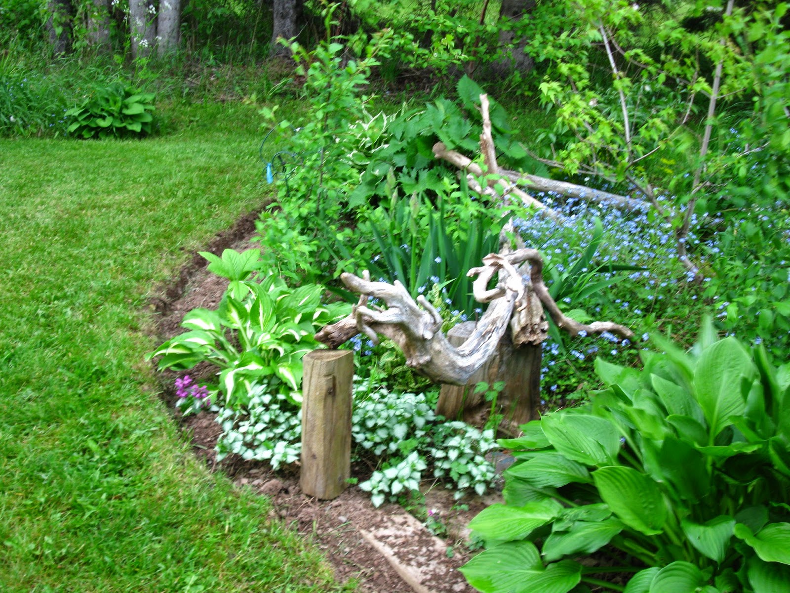 The Charm of Home Home Sweet Home 228