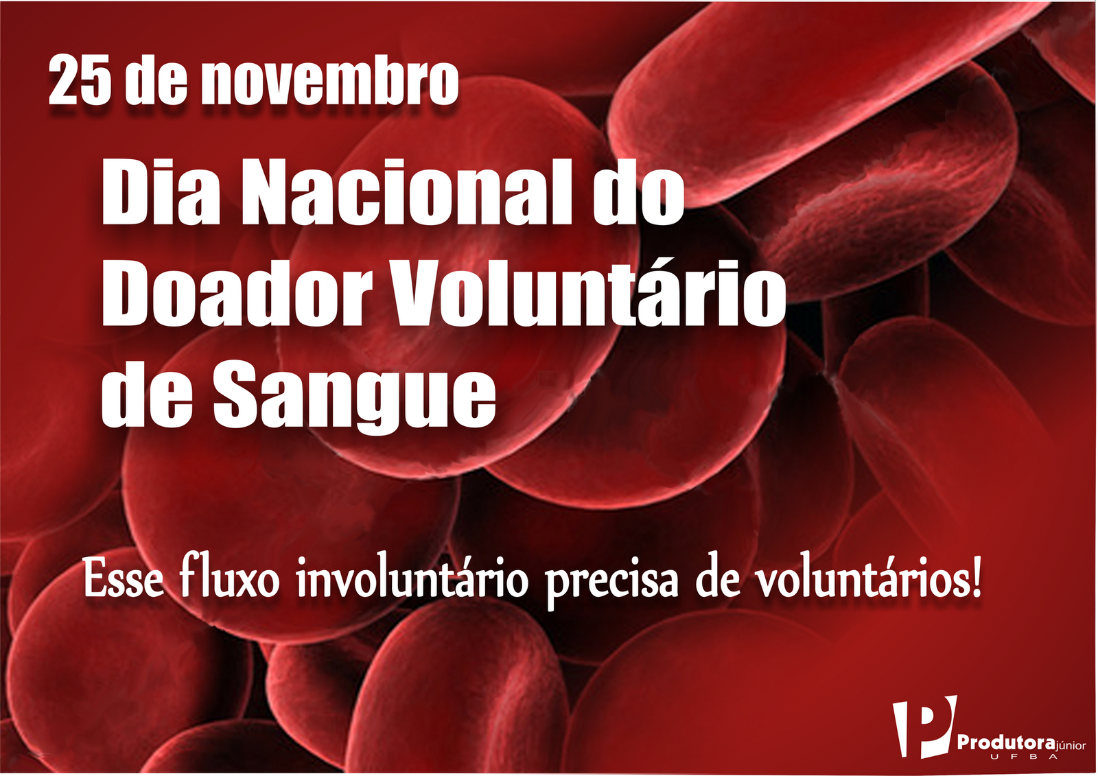 25 11 DIA INTERNACIONAL 25 11 dia internacional: