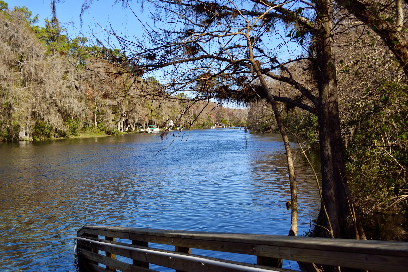 No Bad Days RVing Rainbow Springs State Park
