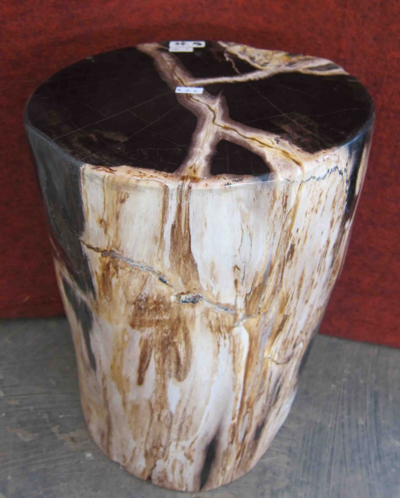 IndoGemstone Petrified Wood End Tables
