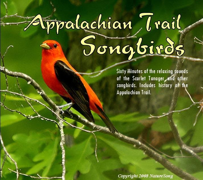 BEST BIRD SONG CD's Bird Songs CD'sSONGBIRDS along the Appalachian Trail