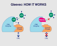 no current cure for CML,