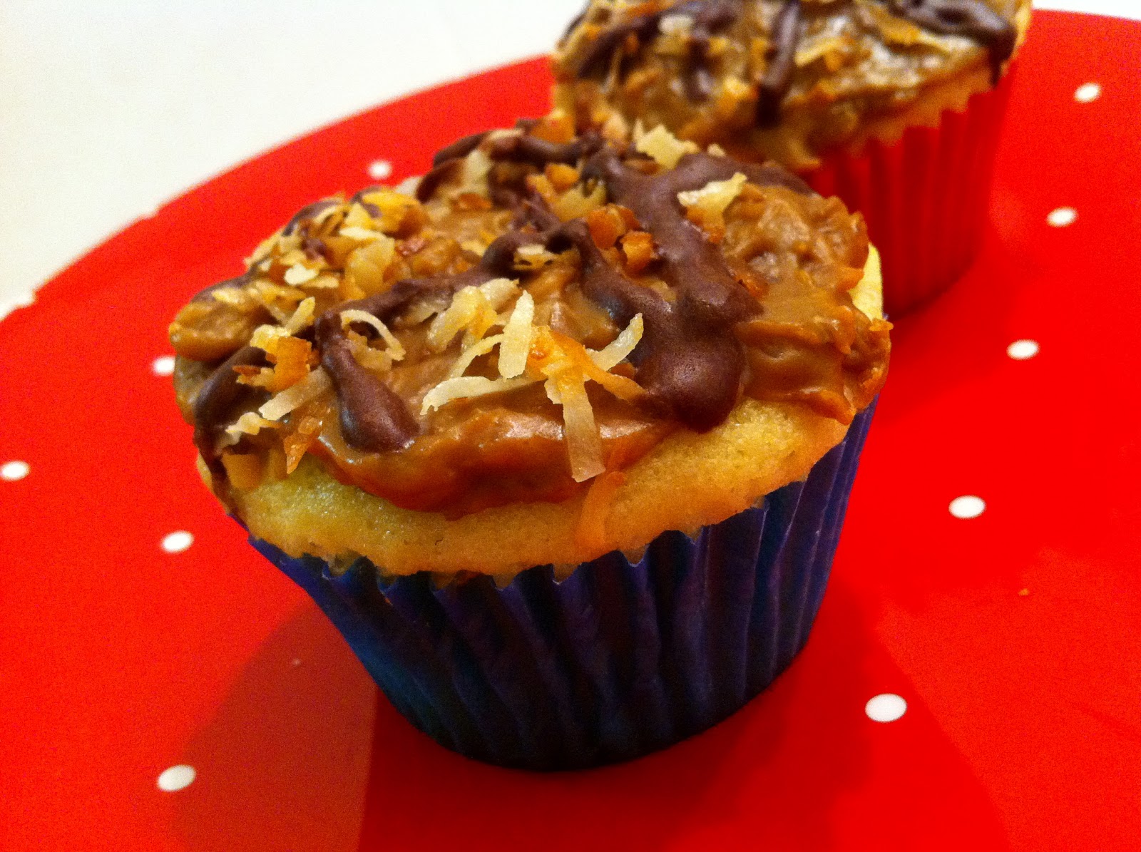 Girl Scout Cookie Also Known As Caramel Delite Crossword