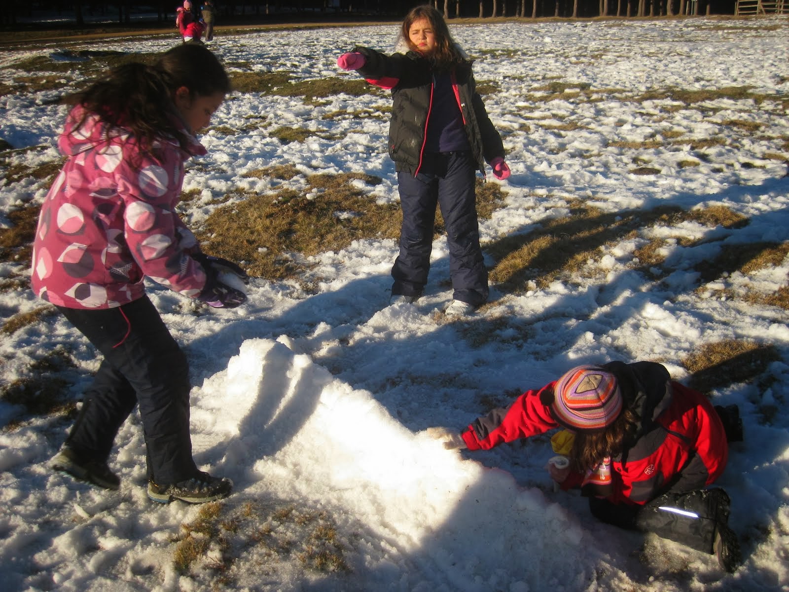 En la nieve