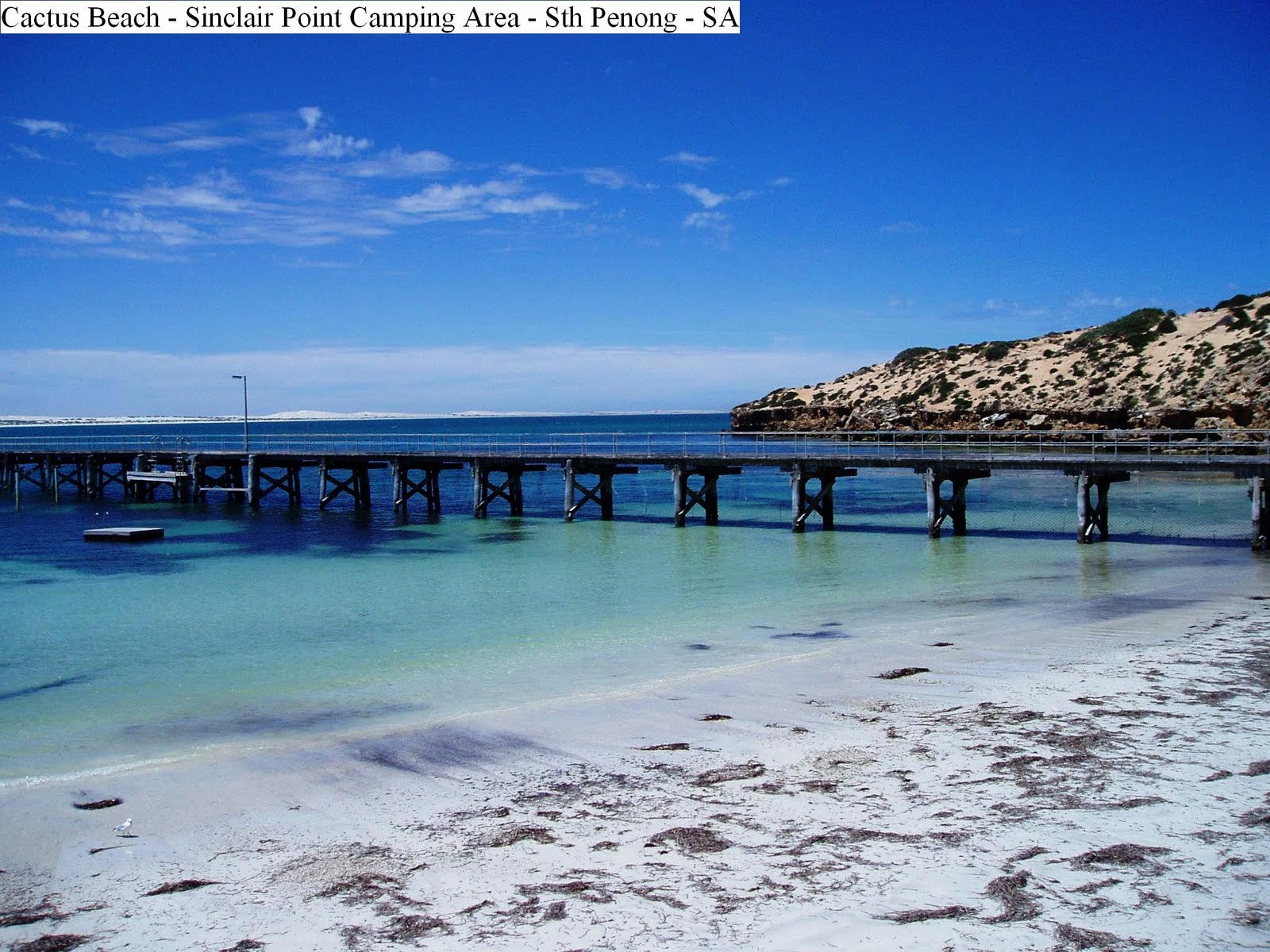 Cactus Beach