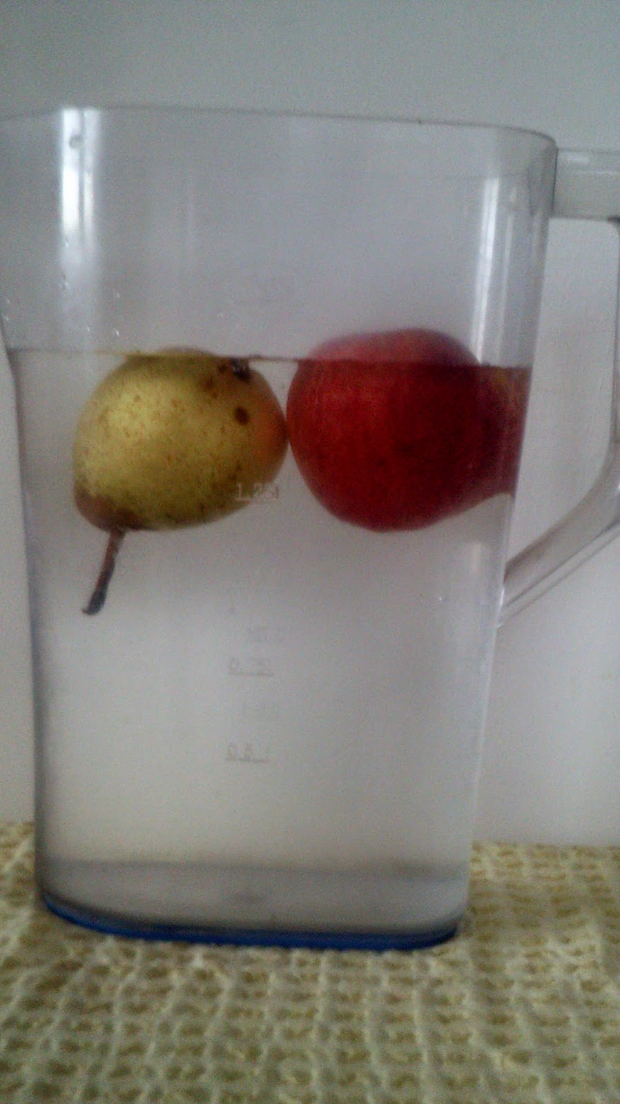 wigton physics Apples float and pears sink