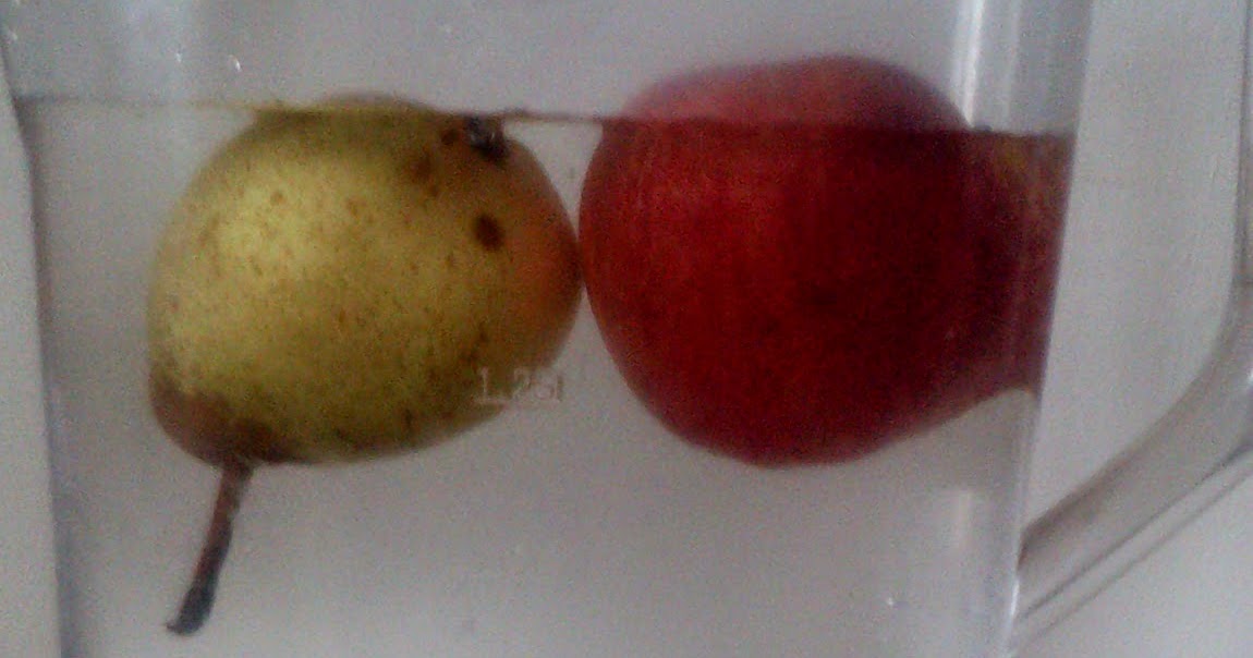 wigton physics Apples float and pears sink