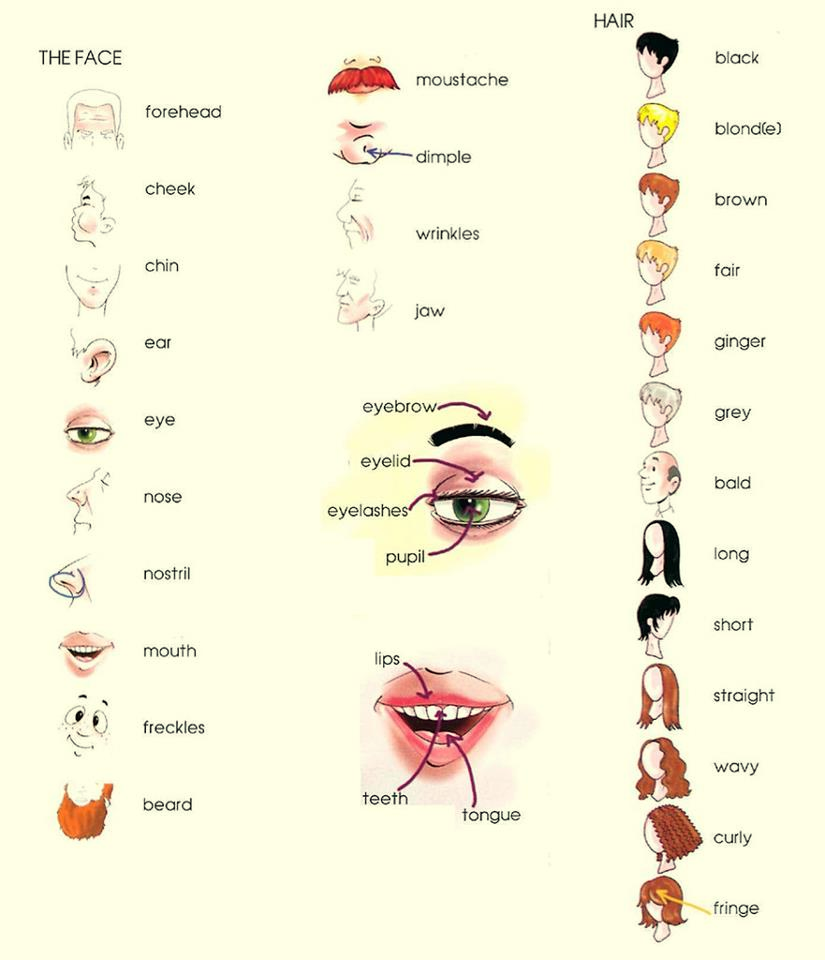 WWW LEARN ENGLISH TODAY www learn english today: