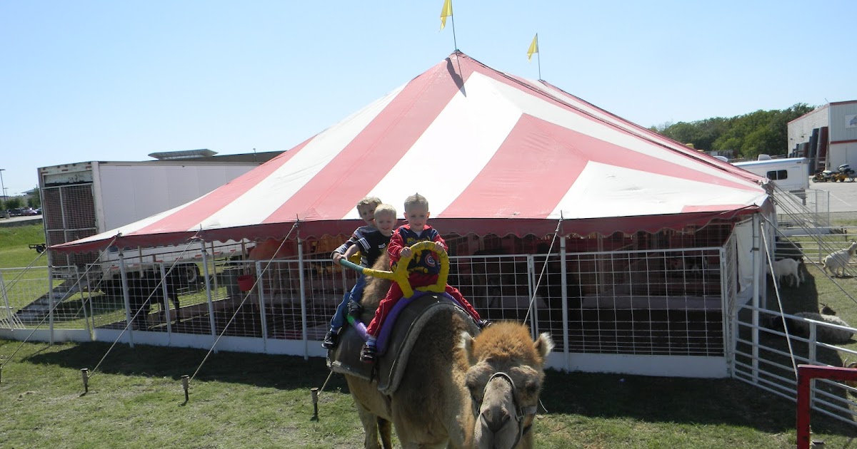 The Denton Play Guide Exotic Animal Petting Zoo at Tractor Supply *Updated