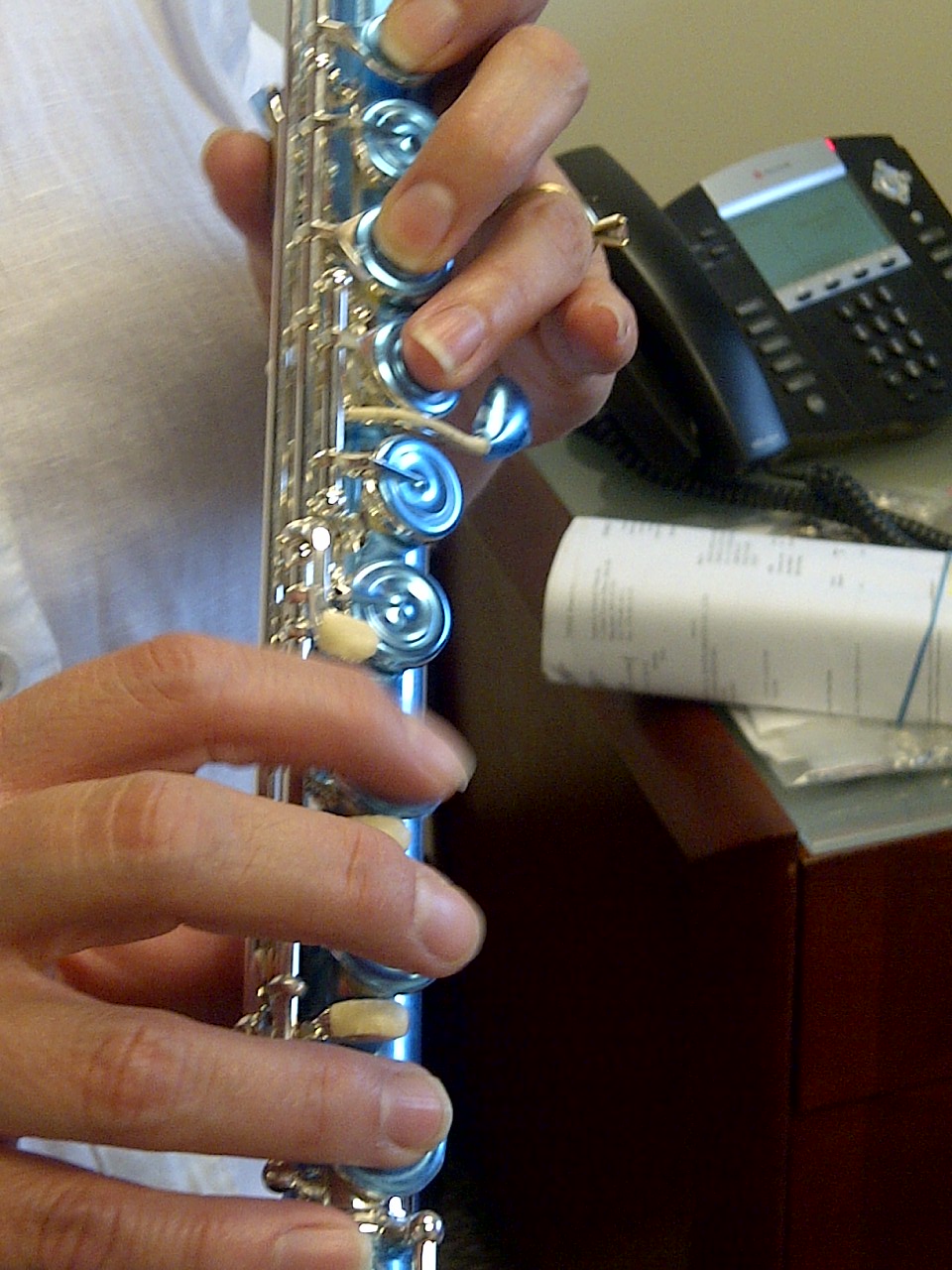 Repair My Flute Lesson "Checklist"