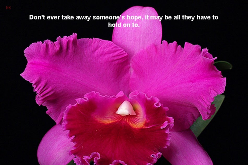 Beautiful Quotes