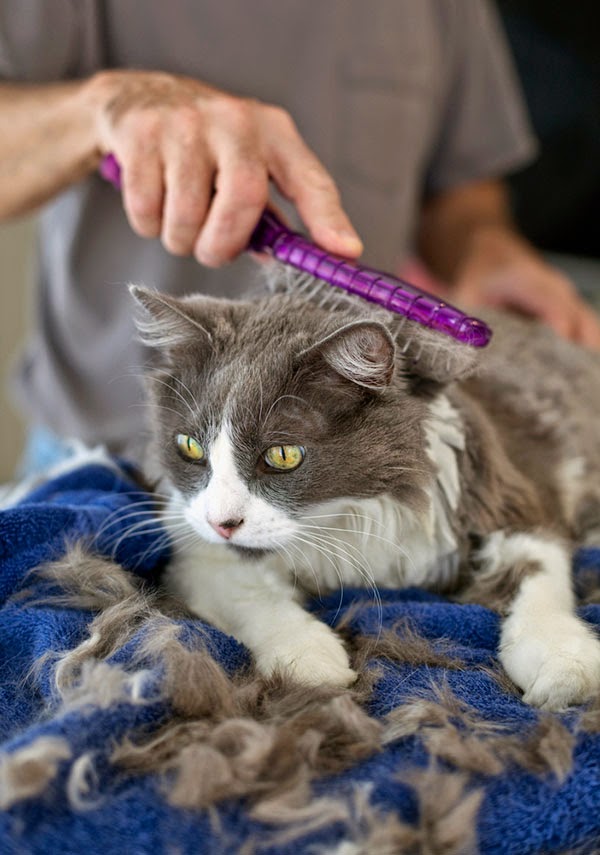 Awakenings Are you ready for this?