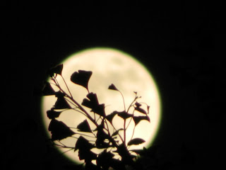 Supermoon from Seoul