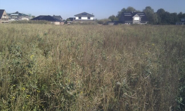 Hausbau In Adendorf Bei Luneburg Mit Claassen Haus Town Country