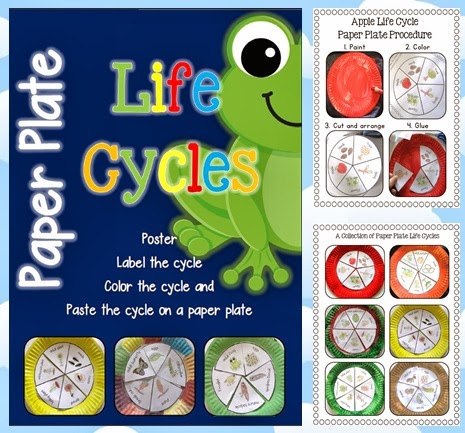 Paper Plate Life Cycles, Frog, Pumpkin, Apple, Sunflower and more