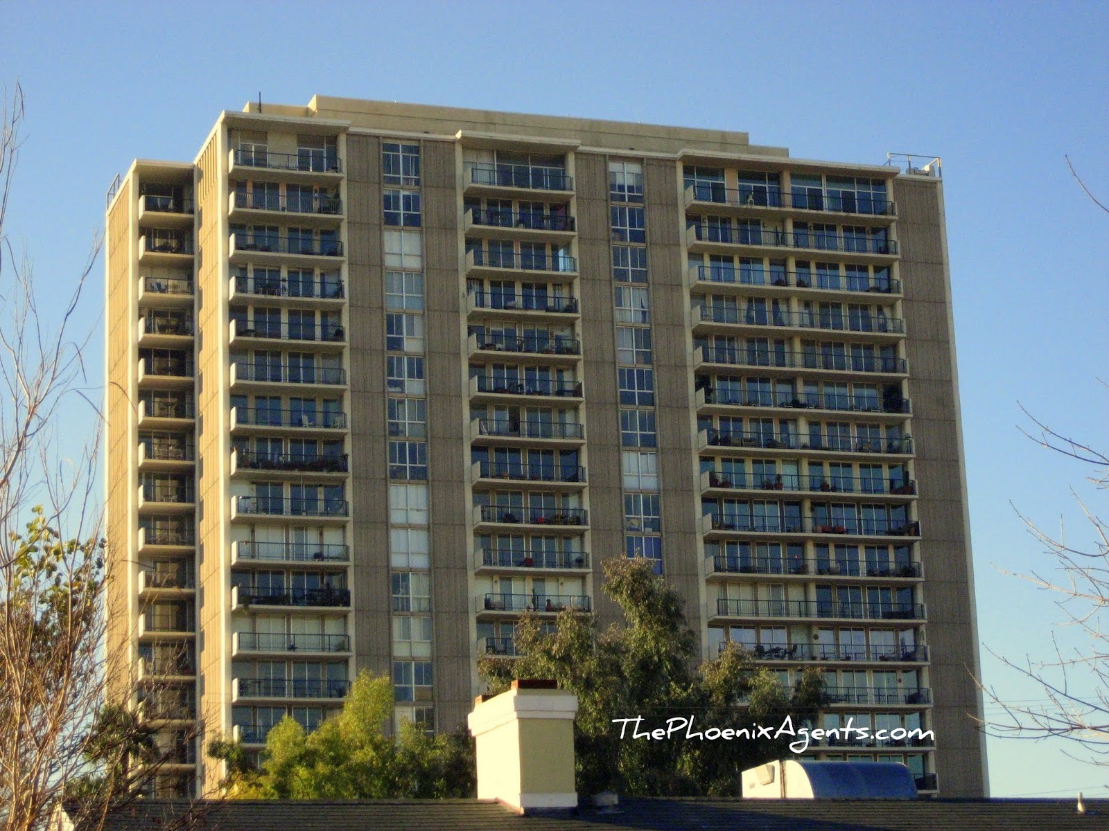 The Phoenix Agents March 2008