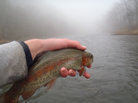 Oil Creek Pennsylvania