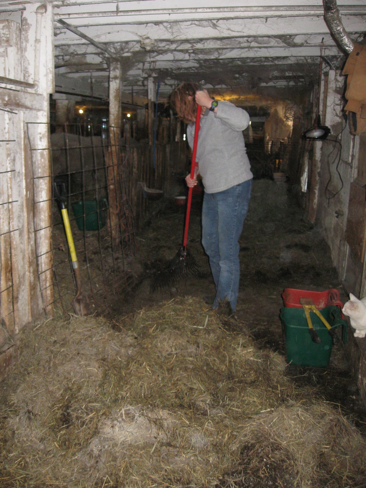 Maggie's Farm Mucking Out
