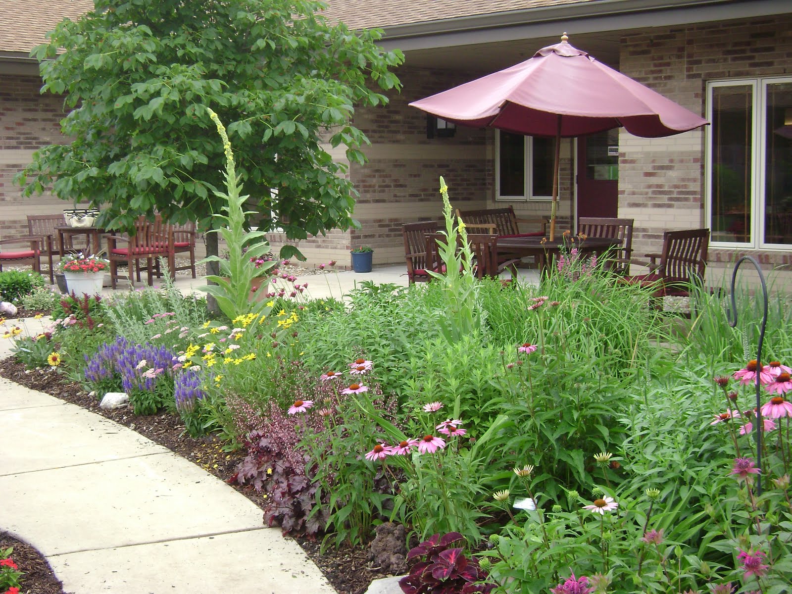 Prairie Rose S Garden Lessons From The Masters Prairie Rose S Garden