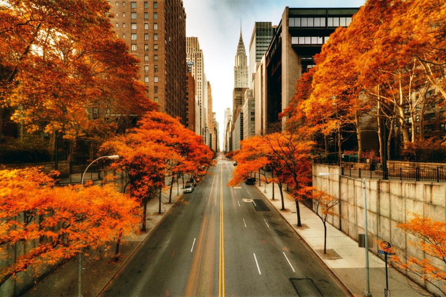 Outono em New York Outono+em+Nova+York