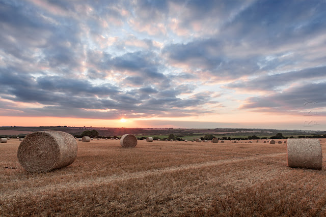 Warm summer landscape of hay bales in the Gloucestershire Cotswolds by Martyn Ferry Photography