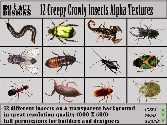 Ro!Act Designs ..RO!ACT..DESIGNS 12 Creepy Crawly Insects
