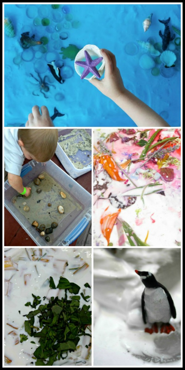 Sensory Bins to Explore Nature Learn Play Imagine