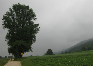 German border on a back road in the rain, near Ramsen, Switzerland