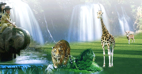 Wisata Taman Safari Indonesia (TSI) Cisarua Bogor ~ Blog Maharani