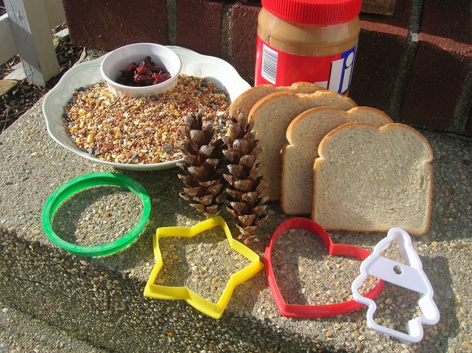 My Creative Mommy Bird Seed Treats