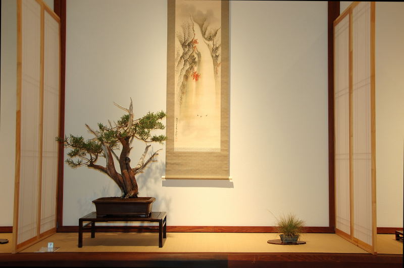 Wall Scroll or Kakejiku Bonsai Display Critique 2