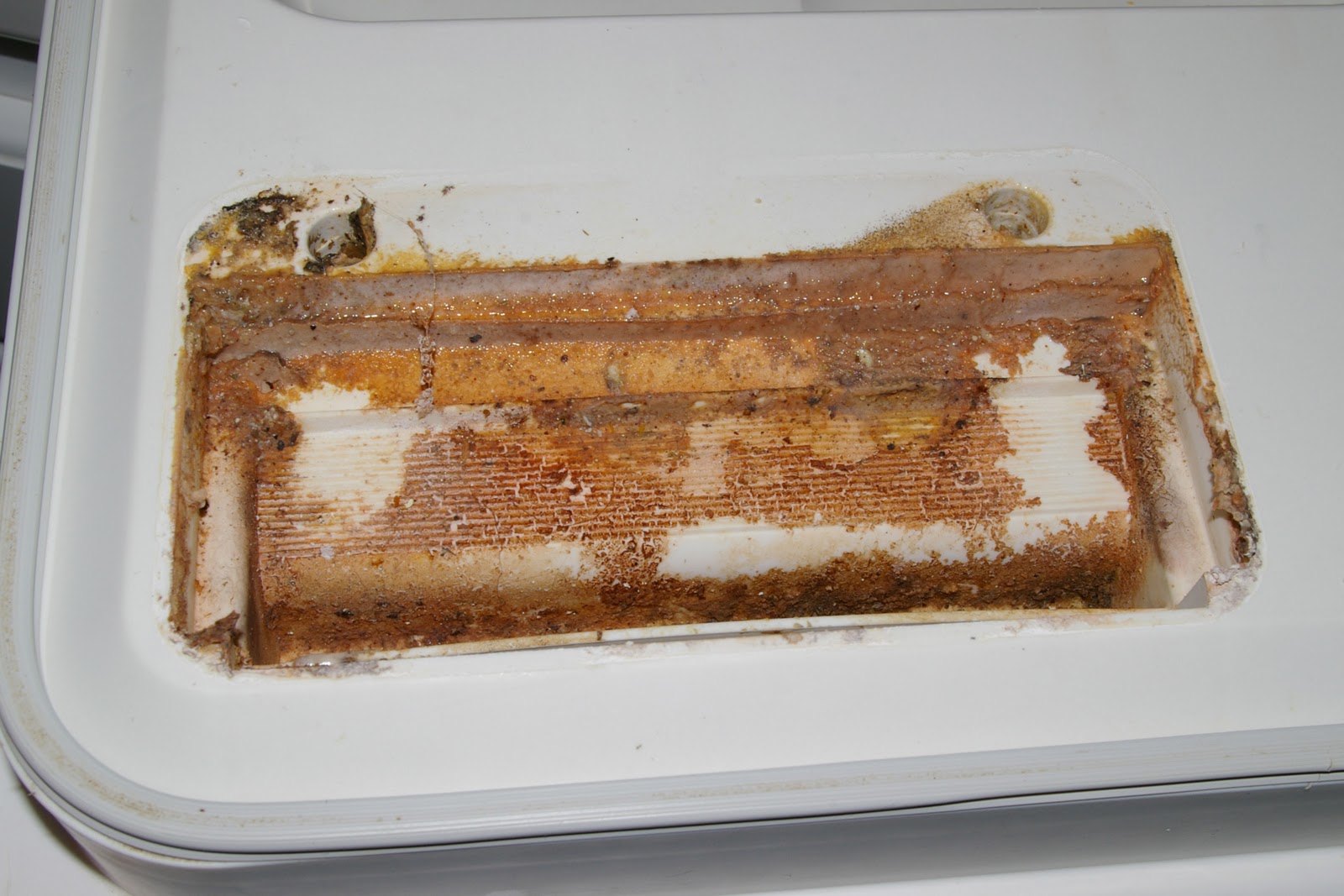 Doing My Best PSA How to DEEP CLEAN a dishwasher