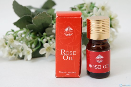 [Image: lam-dep-voi-hoa-hong-2.jpg]