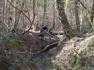 forest of bere hundred acre wood wickham hampshire