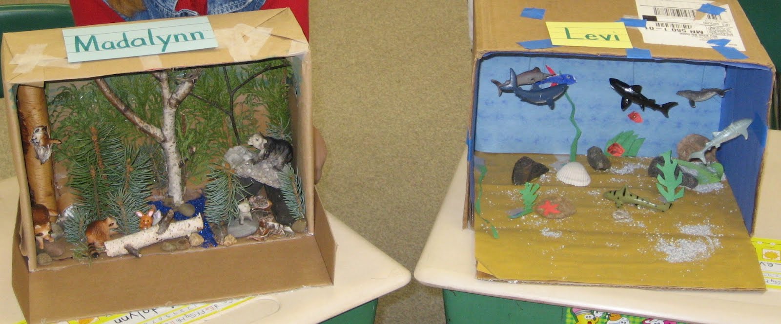 First Grade Fun Habitat Dioramas