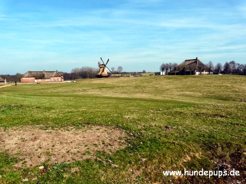Landfrauenverein Hohenaspe Und Umgebung Landfrauen Hohenaspe Und