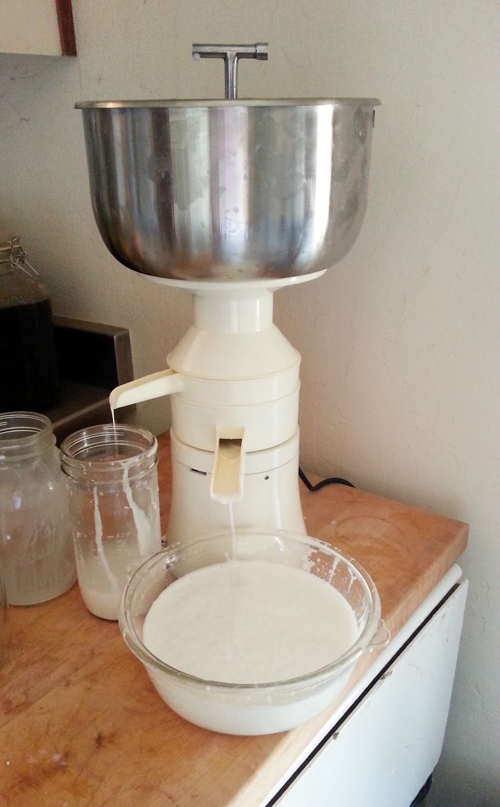 fudge ripple adventures in goat milk