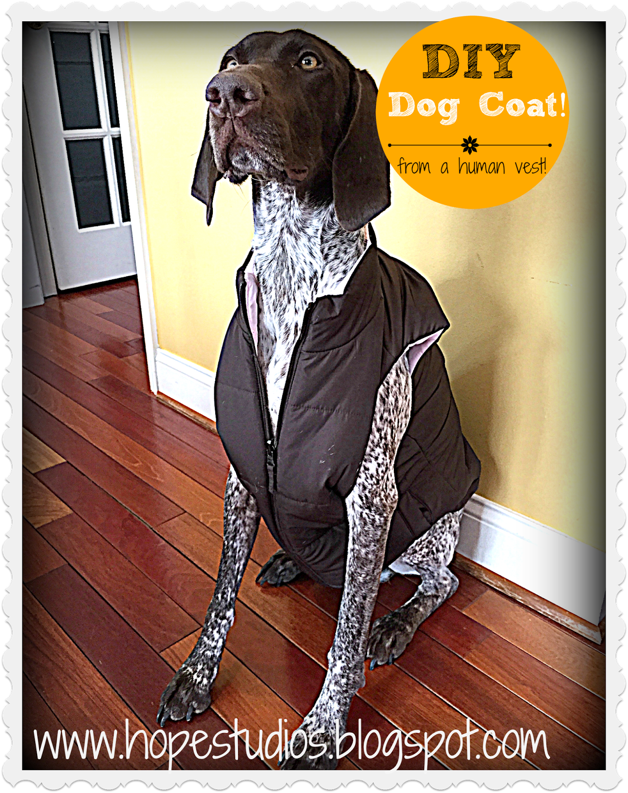 Hope Studios DIY Dog Coat You Probably Already Own!