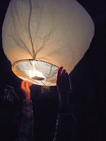 There has been a call to ban Chinese lanterns