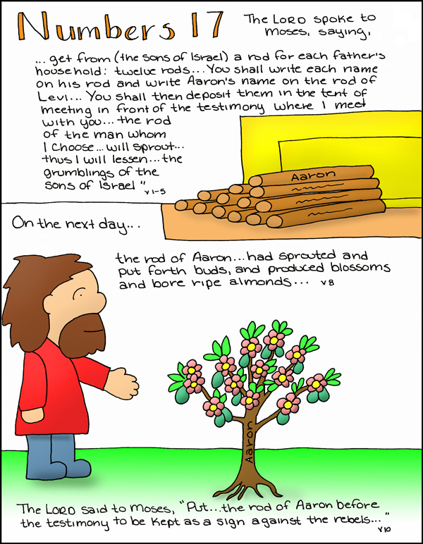 Doodle Through The Bible Numbers 17