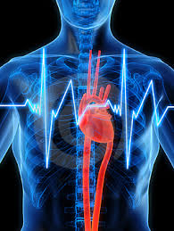 12 bệnh liên quan đến tim mạch của bạn